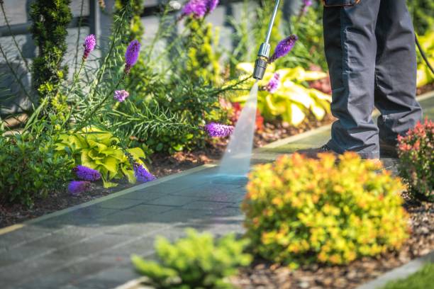 Best Parking Lot and Garage Cleaning  in Tutwiler, MS